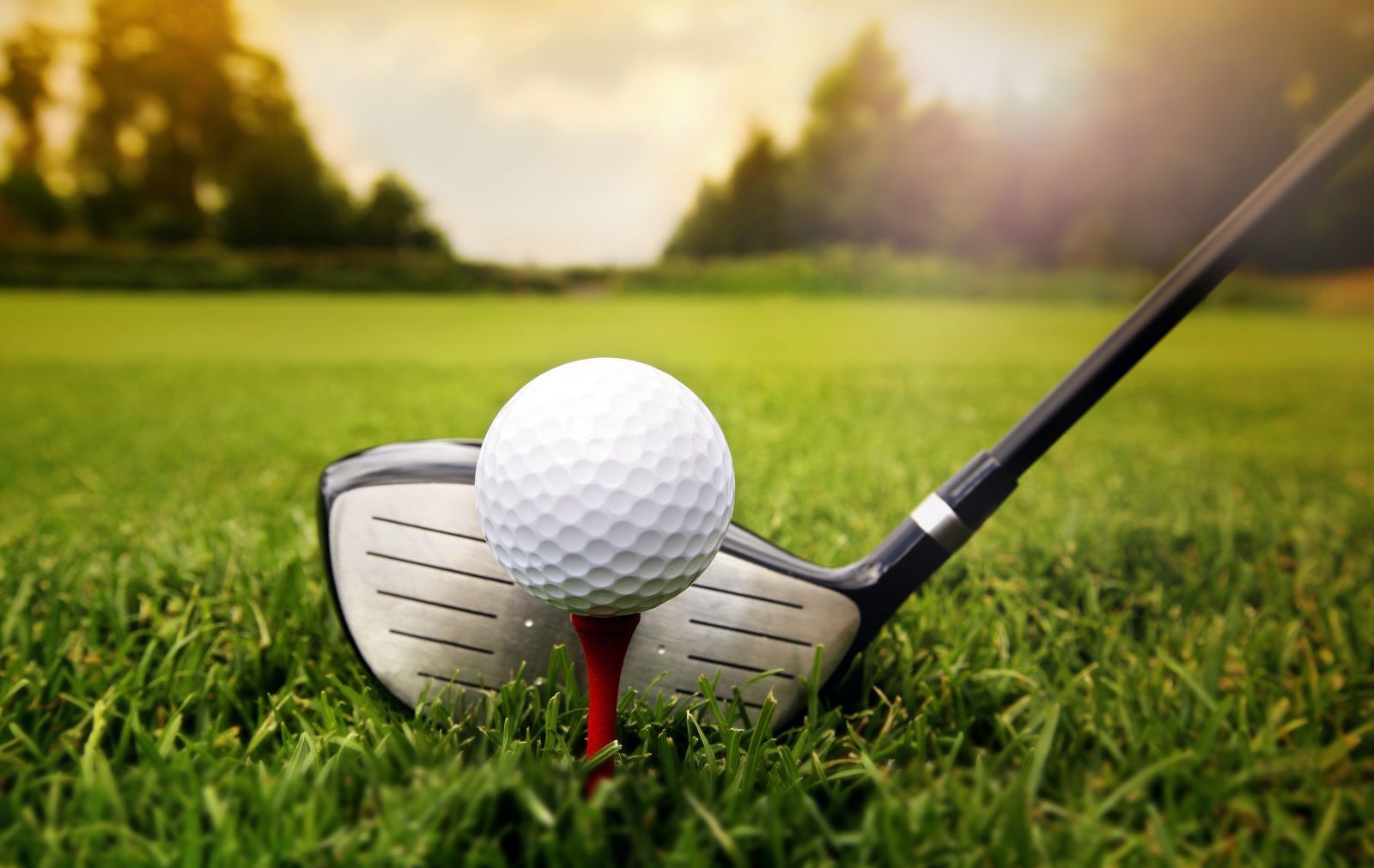 Close-up image of golf ball and golf club