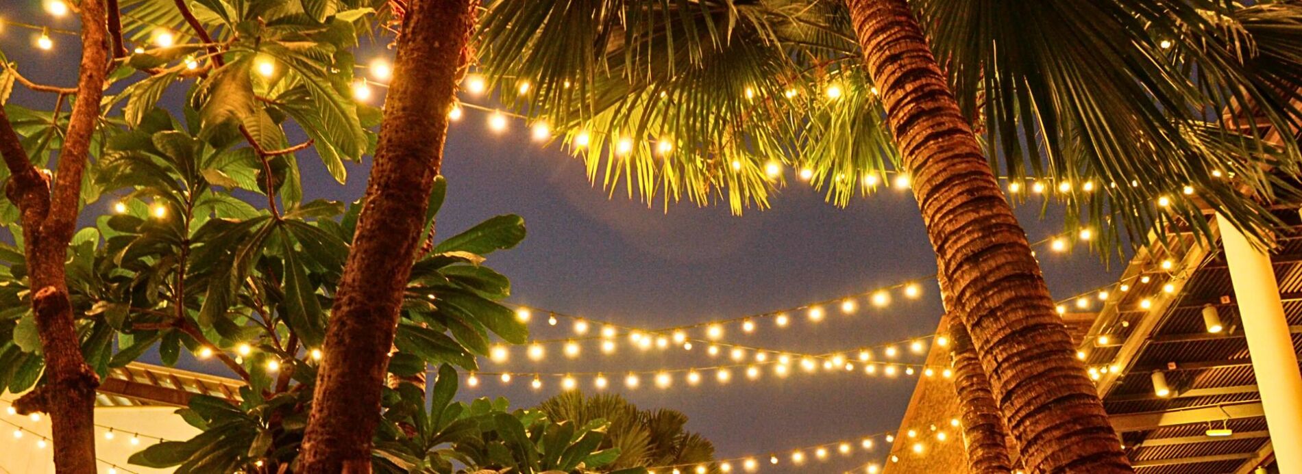 all-ivy--winter-mixer-2026